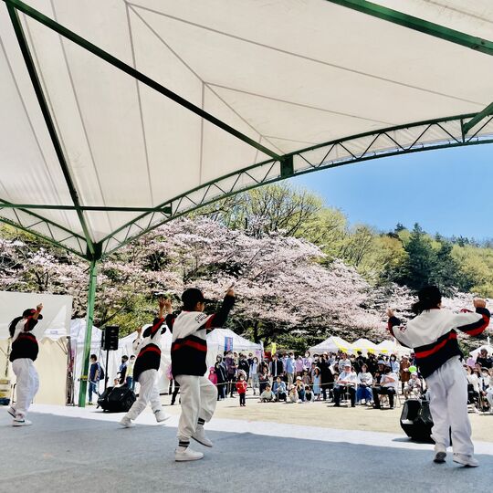 芹が谷公園　イベント